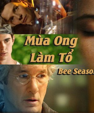 Mùa Ong Làm Tổ