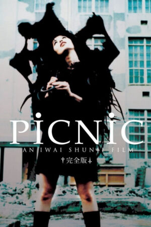 PiCNiC